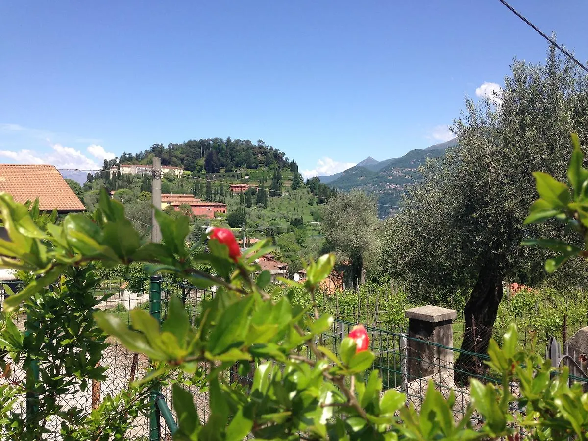 Charming Bellagio Boutique Hotel Couette-café